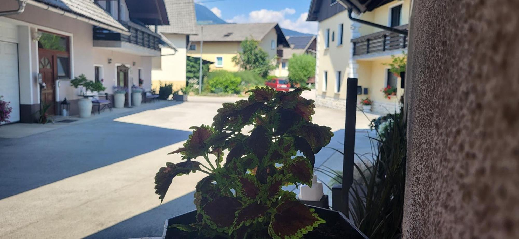 Rooms & Apartments Kepic, Airport Accomodation Церкле на Горенскем Екстериор снимка