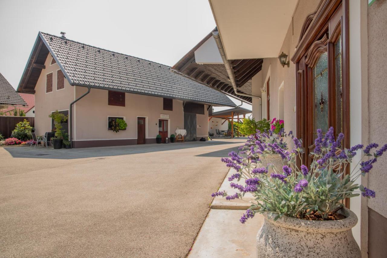 Rooms & Apartments Kepic, Airport Accomodation Церкле на Горенскем Екстериор снимка